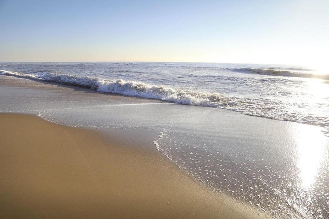 Amazing Beach & Sunsets Just 75M From The Beach! Cadzand Kültér fotó